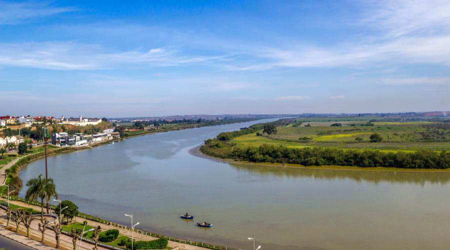 Najpopularniejsze wybory pojazdów w Kenitrze